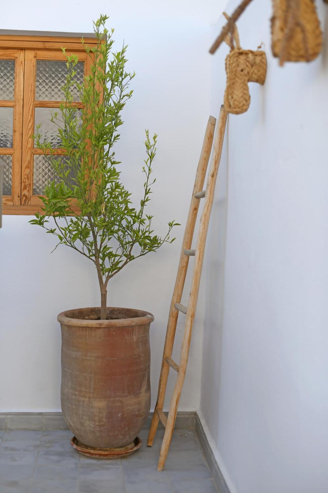 Riad Larbi Khalis มาร์ราเกช ภายนอก รูปภาพ